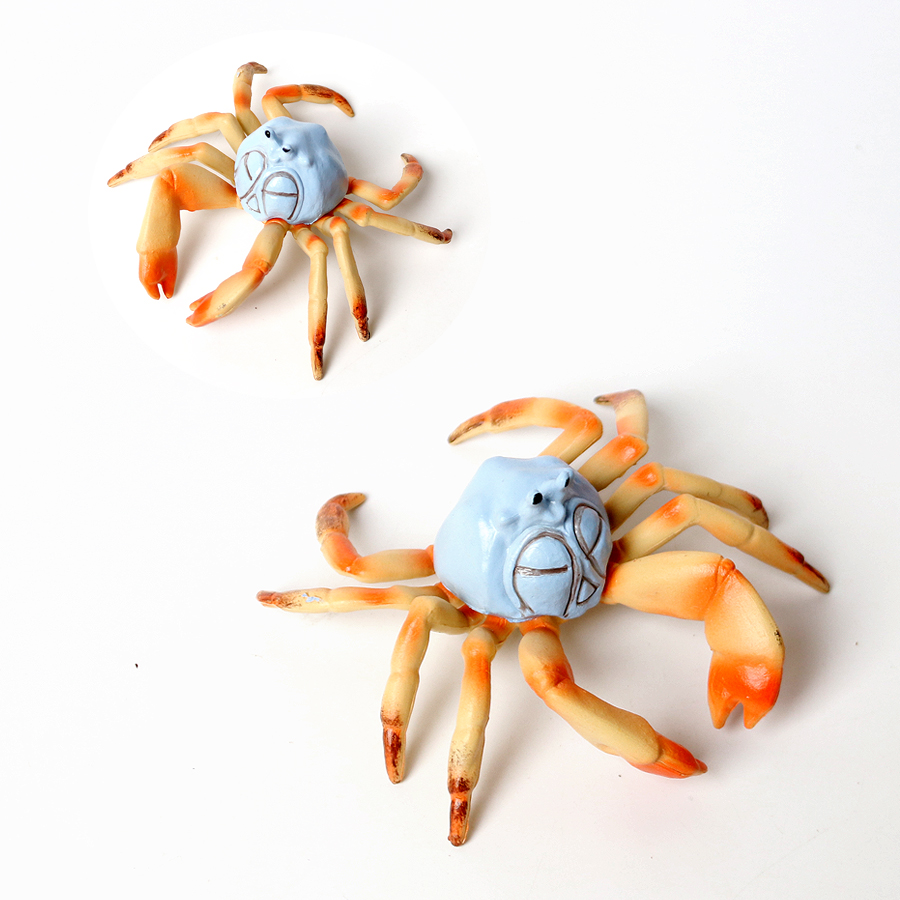 Realistic Ocean Animals Hermit - Kids Toys Home 评论和价格