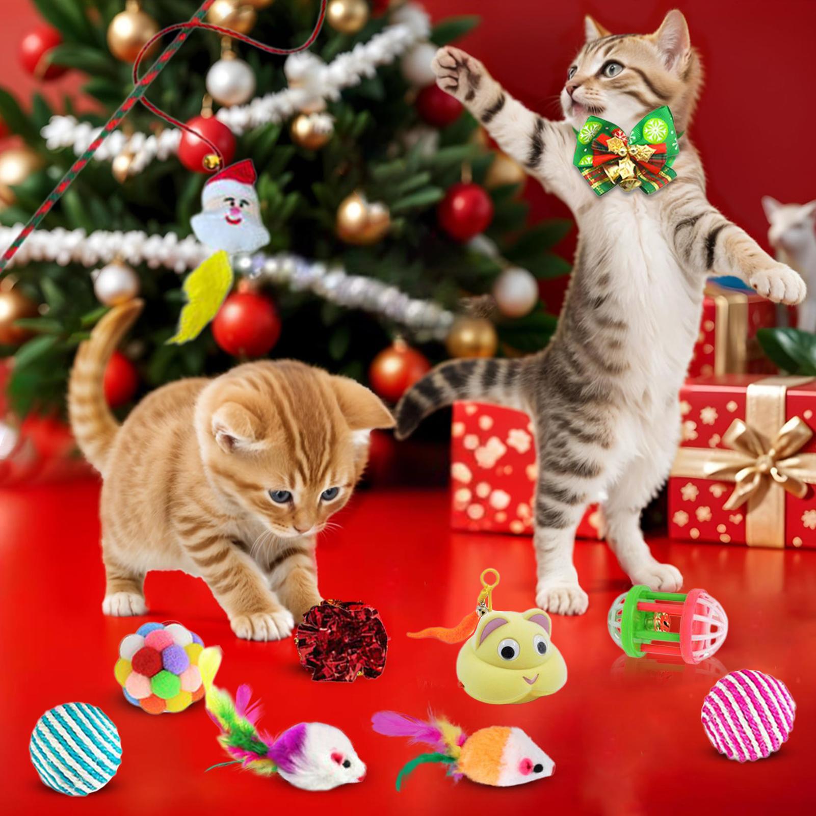 Pet Cat Toy Calendar 2025 24 D - Kids Toys Xmas 2025 评论和价格