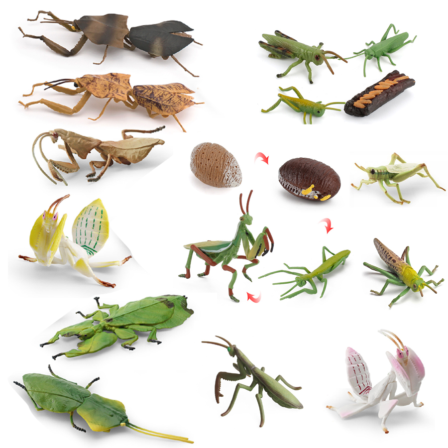 Realistic Orchid Mantis Dead L - Kids Toys Home 评论和价格