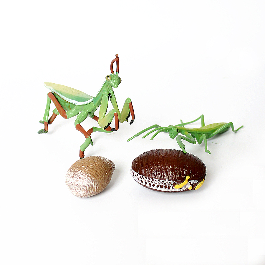 Realistic Orchid Mantis Dead L - Kids Toys Home 评论和价格
